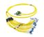 Picture of Pre-Terminated Cable